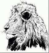 Lion Face Coloring Page Pages sketch template