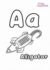Alligator Coloring Pages Preschool sketch template