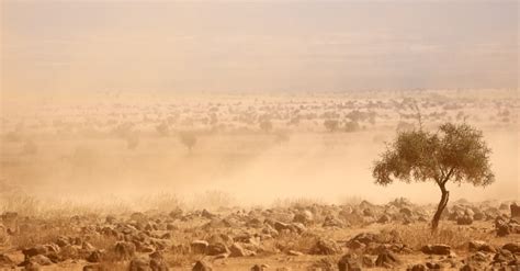 MALI: World Bank grants €29 million for climate resilience project ...