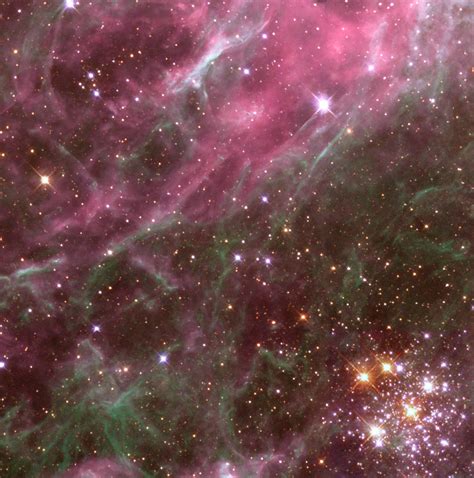 File:Tarantula nebula detail.jpg - Wikipedia