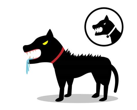 Best Rabies Virus Illustrations, Royalty-Free Vector Graphics & Clip ...