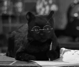 black and white salem the cat gif | WiffleGif