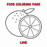 Premium Vector  Of LIME Illustration coloring Page For Kids sketch template