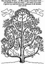 Free Coloring Pages Of The Parable Mustard Seed  KinleyecChurch sketch template