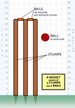 Cricket Vocabulary | Vocabulary | EnglishClub