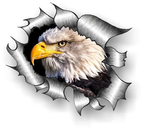 Ripped Torn Metal Design With American Bald Eagle Motif External Vinyl ...