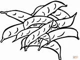 Peas 15 coloring page  Free Printable Coloring Pages sketch template