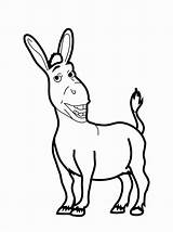 Dibujos De Burros  Imprimir Para Colorear sketch template
