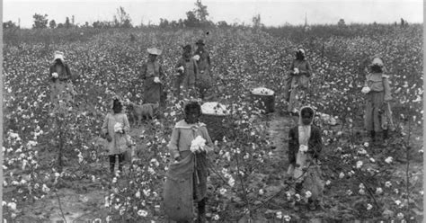奴隷制と搾取: 初期のトゥエンテ繊維産業のマイナス面 | 読書のヒント - Nipponese