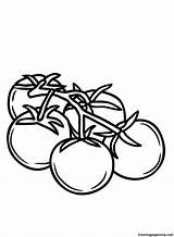 50  Tomato Coloring Pages Free Printable PDF & Online sketch template