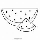 Watermelon Mitraland Sheet Students Sketch Coloring Page sketch template