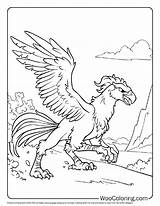 100  Griffin coloring pages Free PDF To Print Woo Coloring sketch template