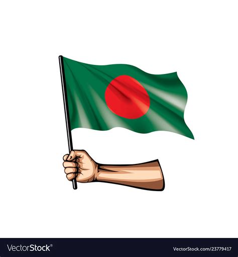 Bangladesh flag and hand on white background Vector Image