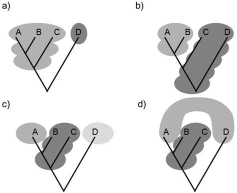 XXV.3.1 The looser evolutionary systematic understanding of monophyly differs from the stricter ...