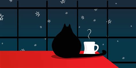 Gato Coffee | Big Cat. Small Batch. – GATO COFFEE
