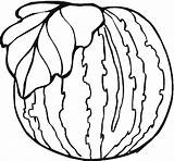 Watermelon coloring Pages  ColoringLib sketch template