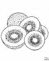 Kiwi Coloring Page  Free Printable Fruit Coloring Sheet sketch template