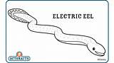 Kids Science Electric Eel Coloring Pages sketch template