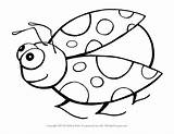 Spring Bugs Coloring Pages sketch template