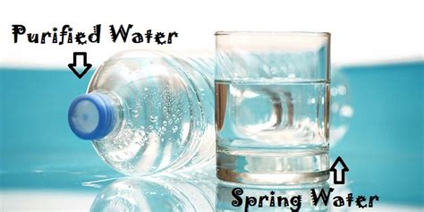 Purified Water Vs Spring Water: Which is Best for Us? – Anxiety Fighters Guide