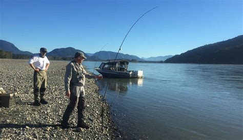 Big Chinook Salmon caught on Fraser River - Silversides Fishing Adventures