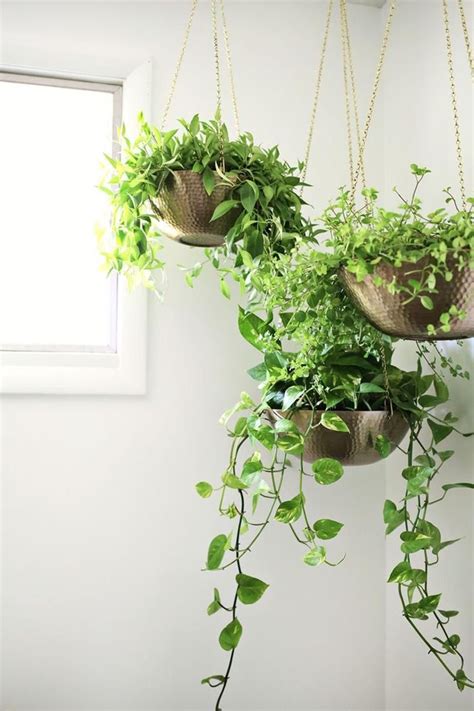 30+ Perfect and Beautiful Hanging Bathroom Plants Decor Ideas | Plant decor indoor, Hanging ...