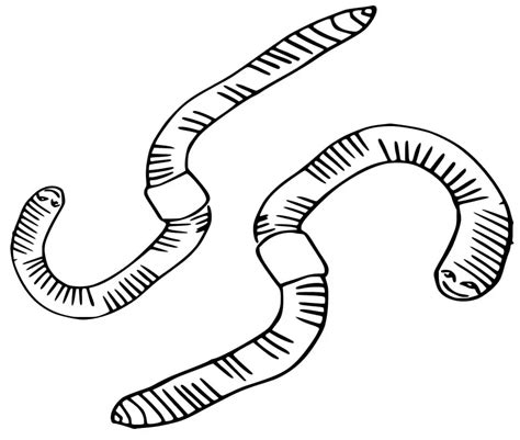 Earthworm Printable - vrogue.co