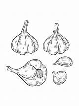 Garlic coloring Pages sketch template