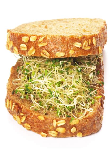 Alfalfa sprouts sandwich stock photo. Image of macro - 16305998