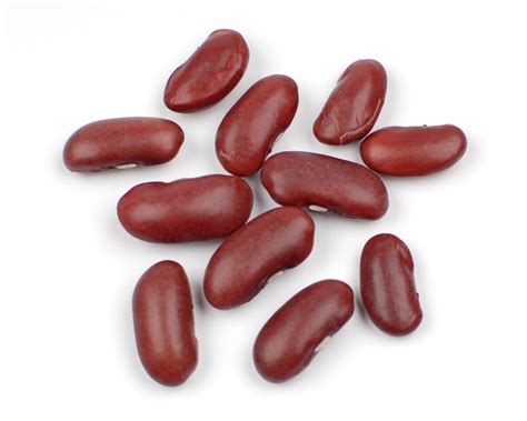 Free Pinto Beans Cliparts, Download Free Pinto Beans Cliparts png ...