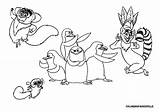 Penguins Of Madagascar To Print Coloring Page  Free Printable sketch template