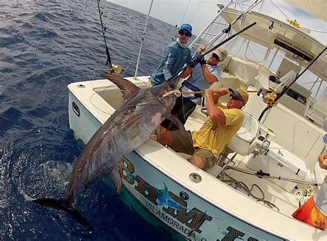 Incredible Swordfish Photo Fishing Report - July 06, 2014 | FISHTRACK.COM