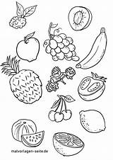 Ausmalbilder Obst  Essen und Trinken Kostenlos Herunterladen sketch template