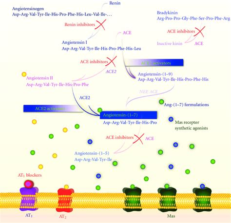 Schematic diagram showing the therapeutic strategies to modulate the... | Download Scientific ...