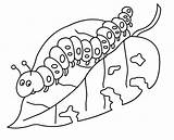Caterpillar Coloring Pages Printable  Portal Tribun sketch template