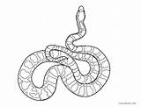 Free Printable Snake Coloring Pages For Kids sketch template