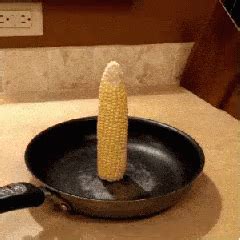 玉米 爆米花 锅 神奇 火柴 GIF - Corn Popcorn Amazing - GIF 탐색 및 공유
