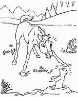 Pictures Of Spirit The Horse  Coloring Home sketch template
