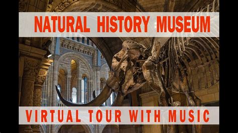 Natural History Museum-Virtual Tour. London Walk. Walk through London - YouTube