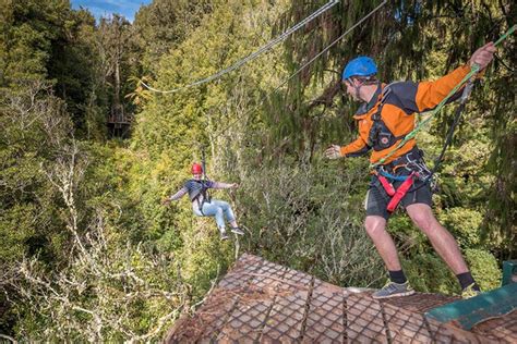 Rotorua Zipline Canopy Adventure Eco ForestTours 2019