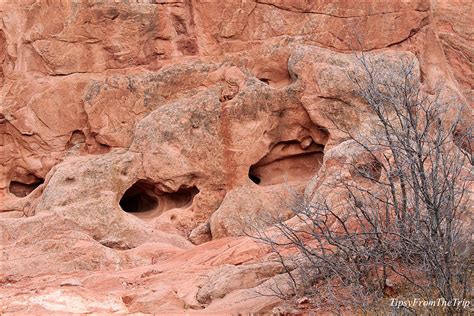 Garden of the Gods: a garden of red rock formations |Tipsy from the TRIP