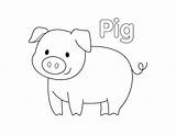 Pigs Coloring Pages Printable sketch template