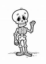 Esqueleto Skelett Ausmalbilder Coloriage Squelette Personnages  sketch template