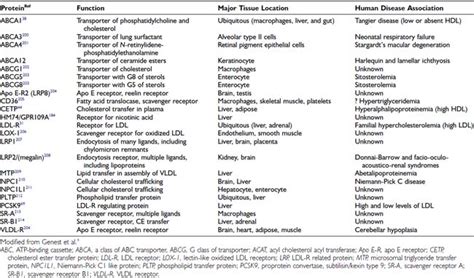 Lipoprotein Metabolism and the Treatment of Lipid Disorders | Oncohema Key