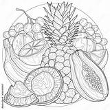 Tropical Fruit Coloring Pages sketch template