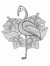 20 Gorgeous Free Printable Adult Coloring Pages  Flamingo coloring sketch template