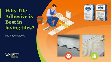 Why Tile Adhesive is Best in Laying Tiles? – Everyone Should Know