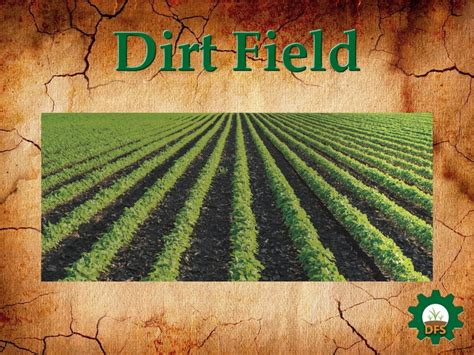 Second Life Marketplace - DFS Texture Dirt Field