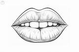 Mouth Coloring Pages  sketch template
