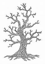 Premium Vector  Dry Tree Drawing Coloring Page sketch template
